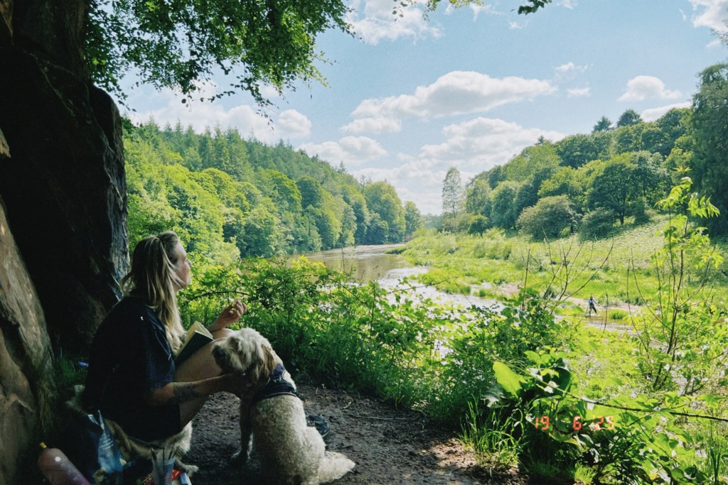The Roaming Writer Painting By The Eden River